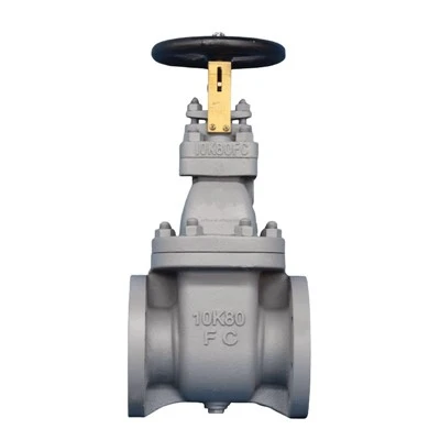 Bs 5152 Pn16 Cast Iron Globe Valve