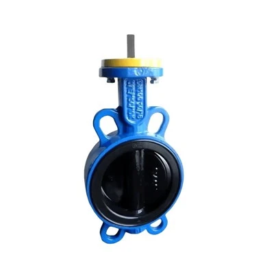 Cast Iron Marine Wafer Butterfly Valve