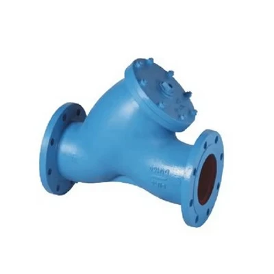Ductile Iron Bs Y Type Strainer with Flange End